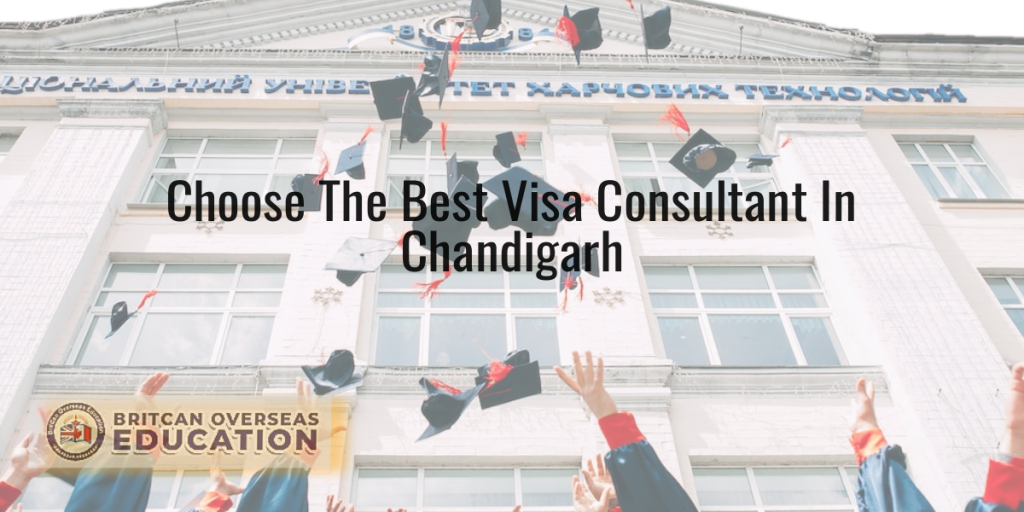 Study Consultant In Chandigarh